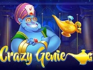 Crazy Genie game thumbnail